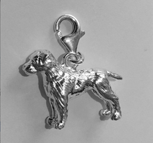 Load image into Gallery viewer, Border Terrier Charm