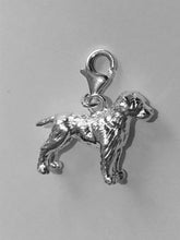 Load image into Gallery viewer, Border Terrier Charm