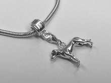 Load image into Gallery viewer, Weimaraner Charm