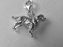 Load image into Gallery viewer, Irish Red Setter