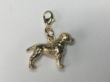 Load image into Gallery viewer, Border Terrier Charm 9ct Gold