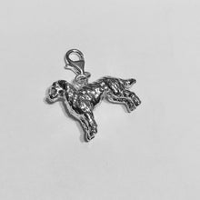 Load image into Gallery viewer, Labradoodle