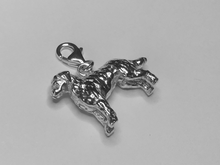 Load image into Gallery viewer, Labradoodle