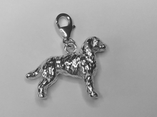 Load image into Gallery viewer, Labradoodle