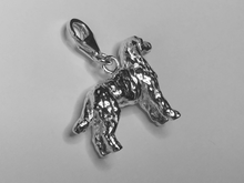 Load image into Gallery viewer, Labradoodle