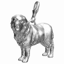 Load image into Gallery viewer, Newfoundland Charm