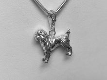 Load image into Gallery viewer, Griffon Bruxellois Charm