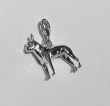 Load image into Gallery viewer, Boston Terrier Charm