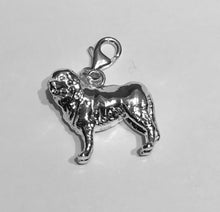 Load image into Gallery viewer, Newfoundland Charm