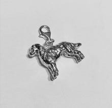 Load image into Gallery viewer, Labradoodle