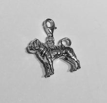 Load image into Gallery viewer, Shar Pei Charm