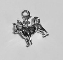 Load image into Gallery viewer, Chihuahua - Short haired