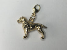 Load image into Gallery viewer, Border Terrier Charm 9ct Gold

