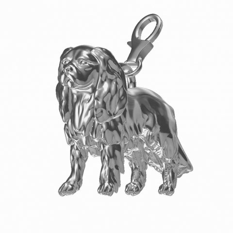 Cavalier King Charles Charm