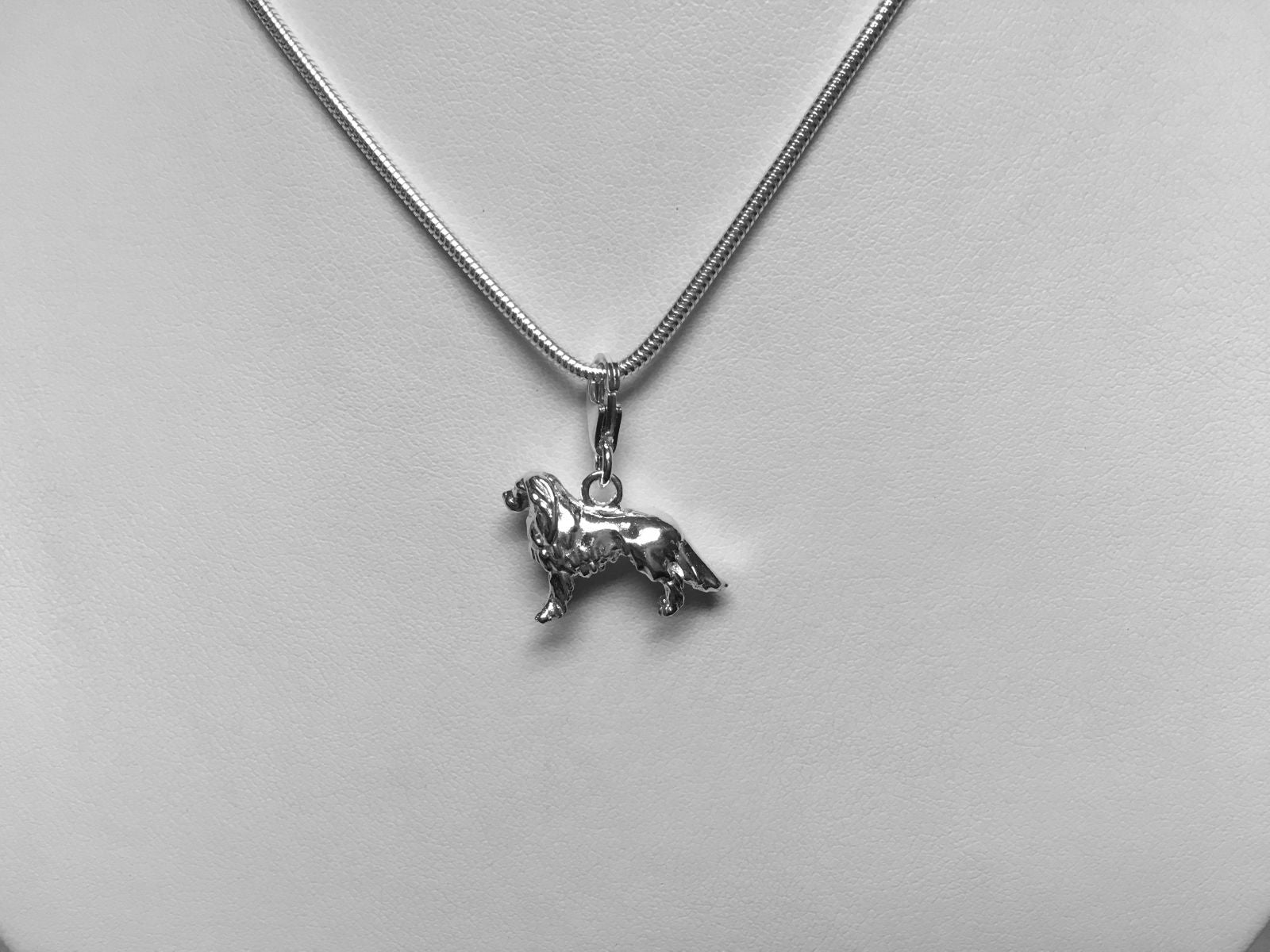 Cavalier King Charles Charm