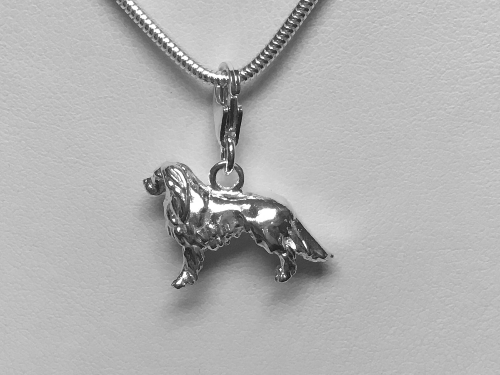 Cavalier King Charles Charm