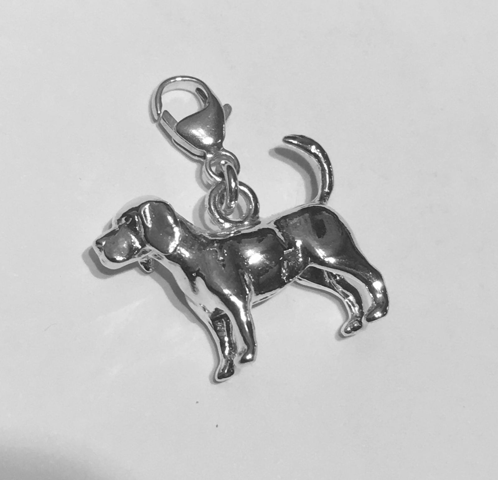 Beagle Charm