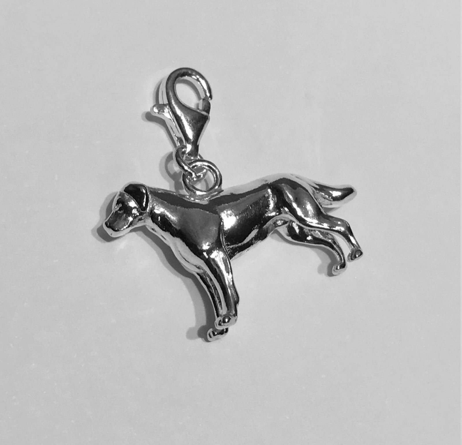 Labrador Charm