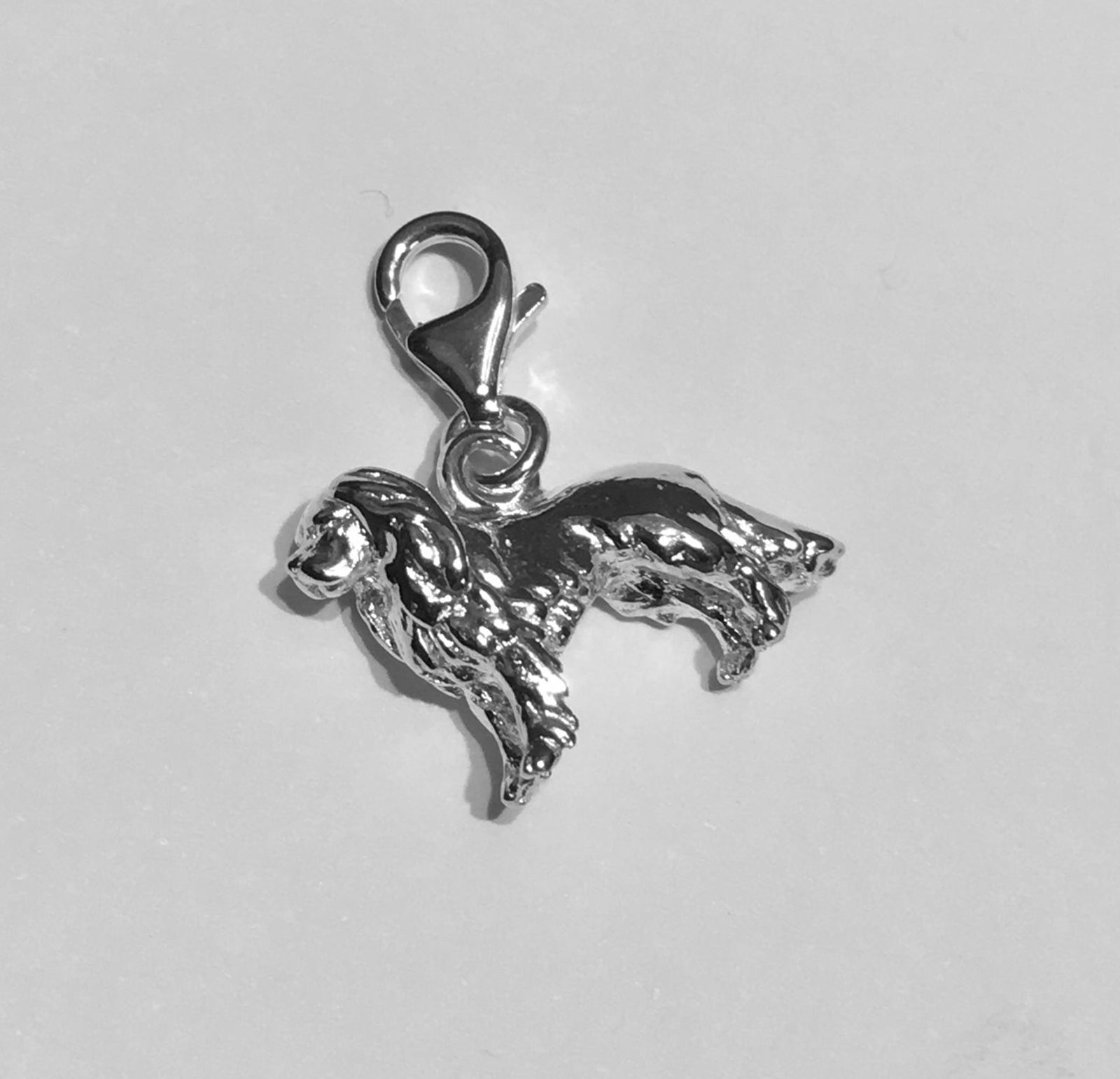 Cavalier King Charles Charm